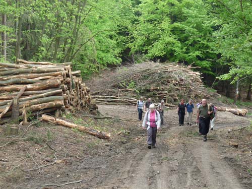 06-Sieber-Baudensteig-Bad-Lauterberg-057