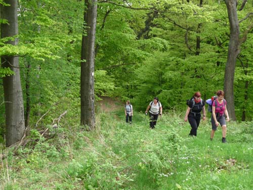06-Sieber-Baudensteig-Bad-Lauterberg-062