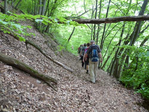 06-Sieber-Baudensteig-Bad-Lauterberg-069