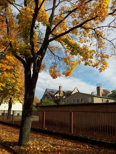 Berlin-20131013_142519