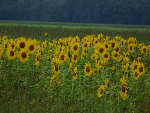 1208_Brandenburg_Berlin_015