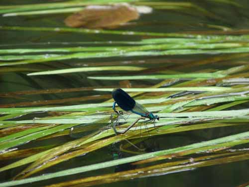 1208_Brandenburg_Berlin_032