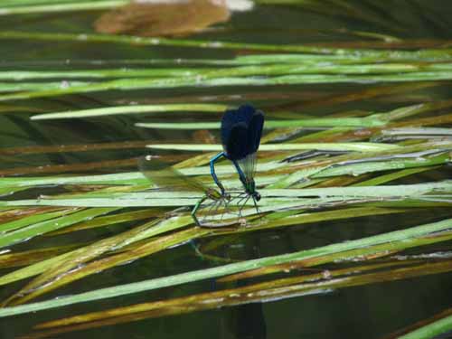 1208_Brandenburg_Berlin_033