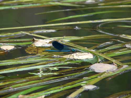 1208_Brandenburg_Berlin_034