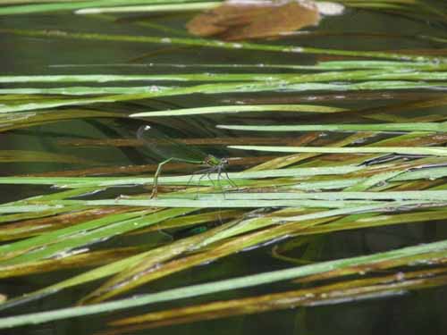 1208_Brandenburg_Berlin_035