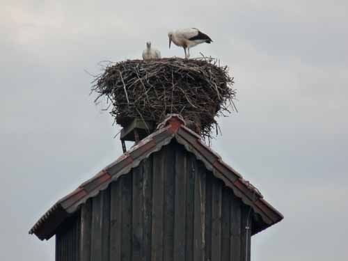 1208_Brandenburg_Berlin_052