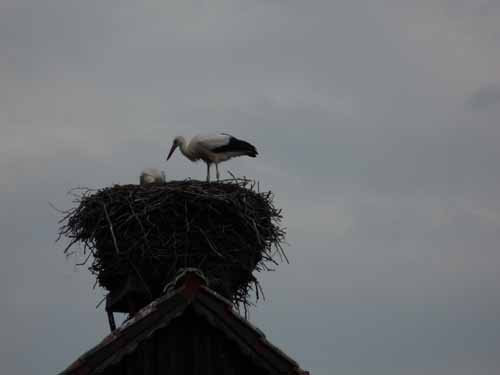 1208_Brandenburg_Berlin_054