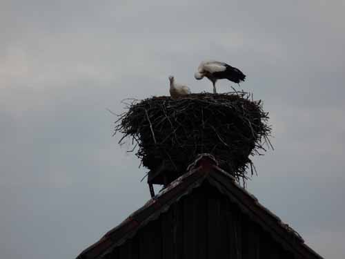 1208_Brandenburg_Berlin_057