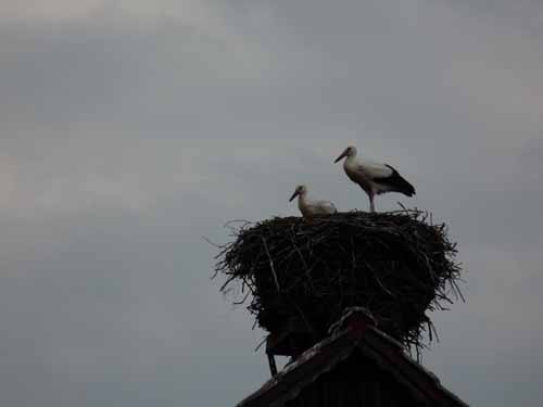 1208_Brandenburg_Berlin_059