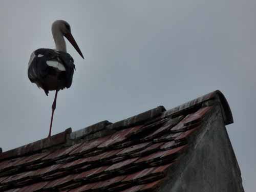 1208_Brandenburg_Berlin_063