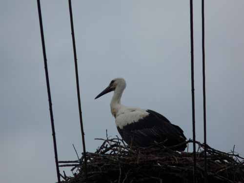 1208_Brandenburg_Berlin_064