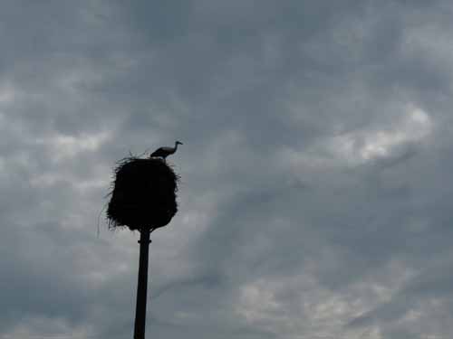 1208_Brandenburg_Berlin_072