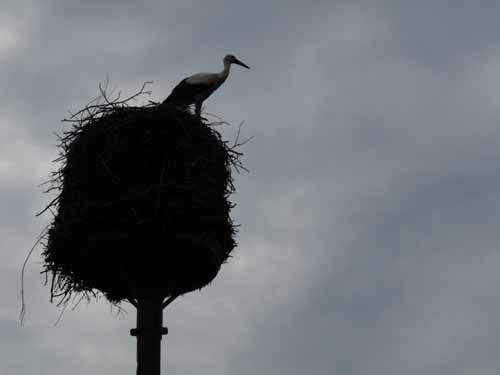 1208_Brandenburg_Berlin_073