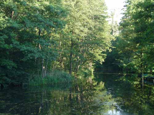 1208_Brandenburg_Berlin_081