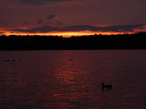 1208_Brandenburg_Berlin_199