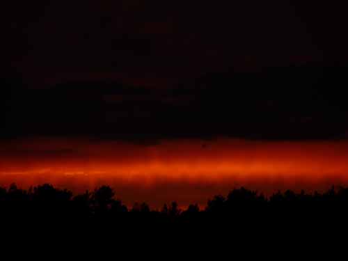 1208_Brandenburg_Berlin_202