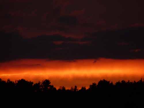 1208_Brandenburg_Berlin_203