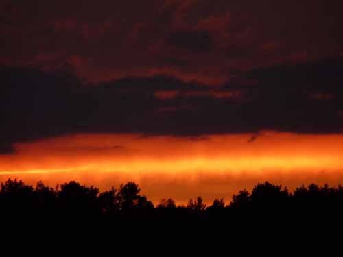 1208_Brandenburg_Berlin_204