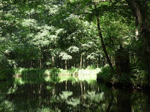 1208_Brandenburg_Berlin_233