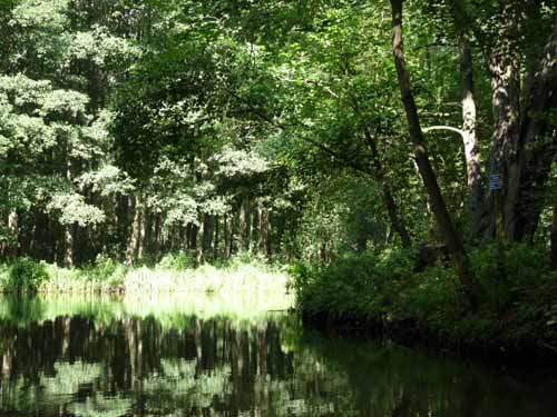 1208_Brandenburg_Berlin_234