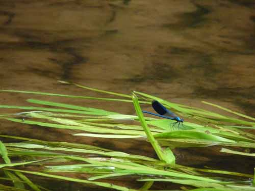 1208_Brandenburg_Berlin_252