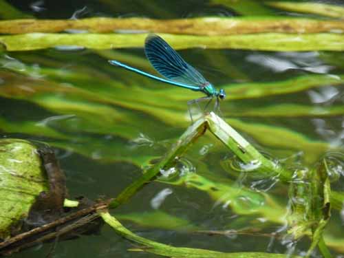 1208_Brandenburg_Berlin_253