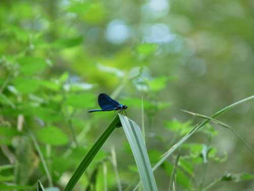 1208_Brandenburg_Berlin_258