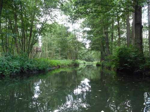 1208_Brandenburg_Berlin_264