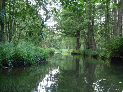 1208_Brandenburg_Berlin_265