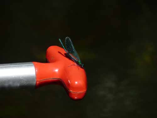 1208_Brandenburg_Berlin_267