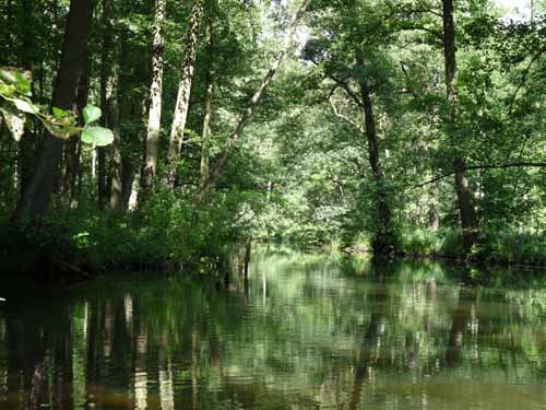 1208_Brandenburg_Berlin_275