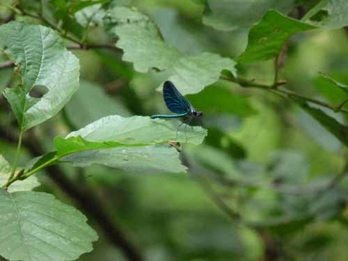 1208_Brandenburg_Berlin_281