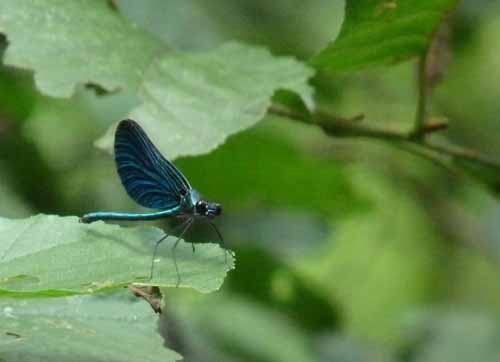 1208_Brandenburg_Berlin_281a