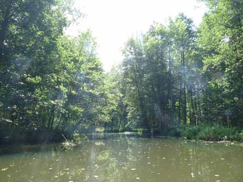 1208_Brandenburg_Berlin_288