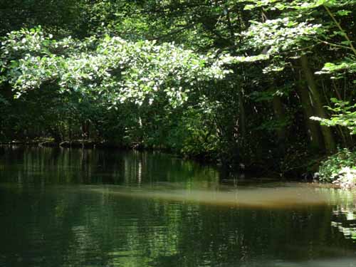 1208_Brandenburg_Berlin_292