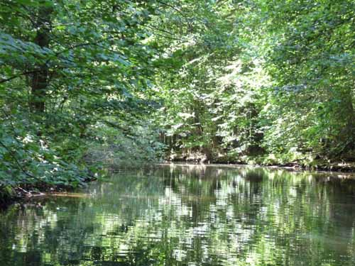 1208_Brandenburg_Berlin_295