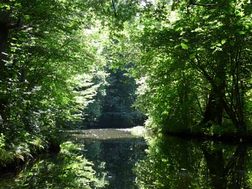 1208_Brandenburg_Berlin_297