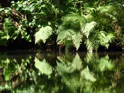 1208_Brandenburg_Berlin_307