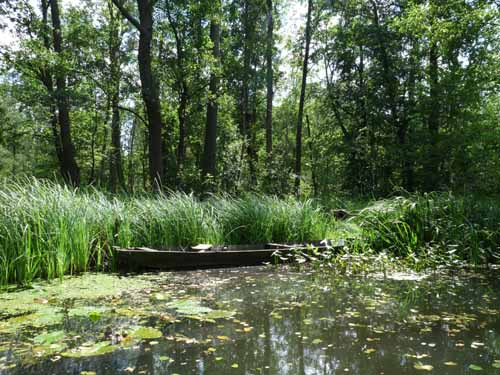 1208_Brandenburg_Berlin_314