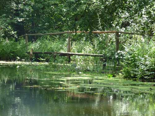 1208_Brandenburg_Berlin_316