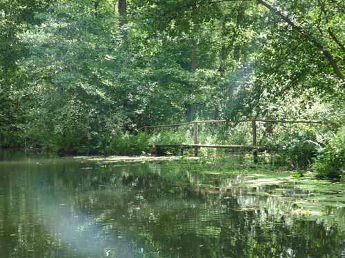 1208_Brandenburg_Berlin_317