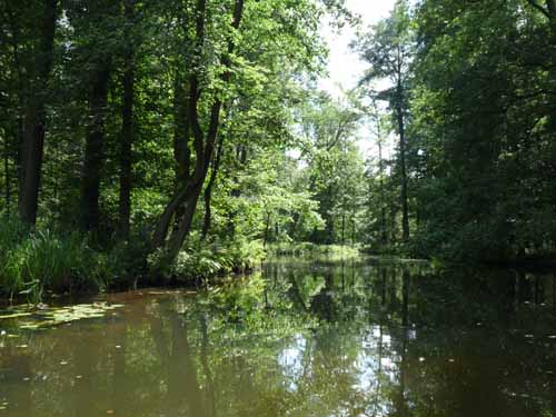 1208_Brandenburg_Berlin_322