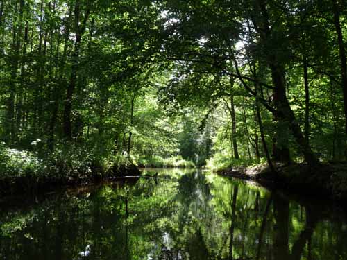 1208_Brandenburg_Berlin_341