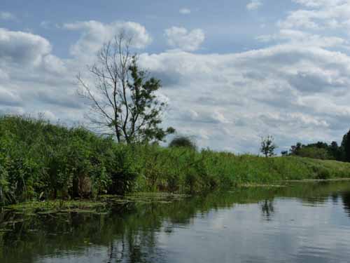 1208_Brandenburg_Berlin_344