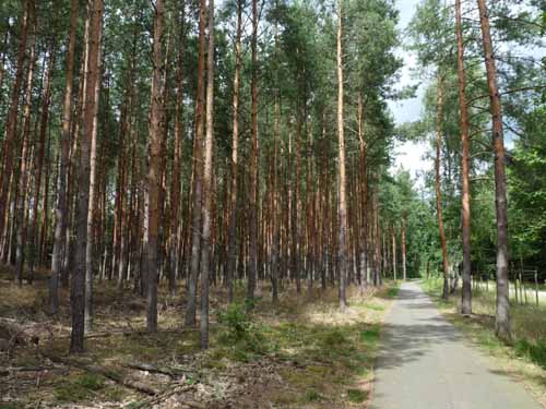 1208_Brandenburg_Berlin_385