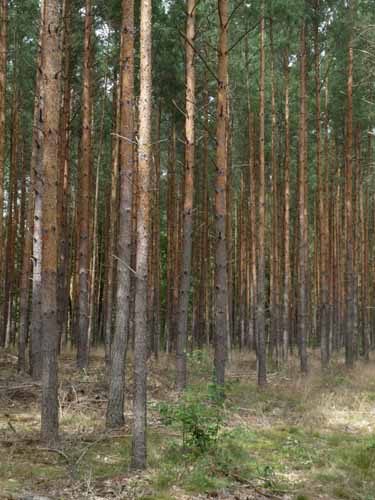 1208_Brandenburg_Berlin_386