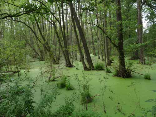 1208_Brandenburg_Berlin_391