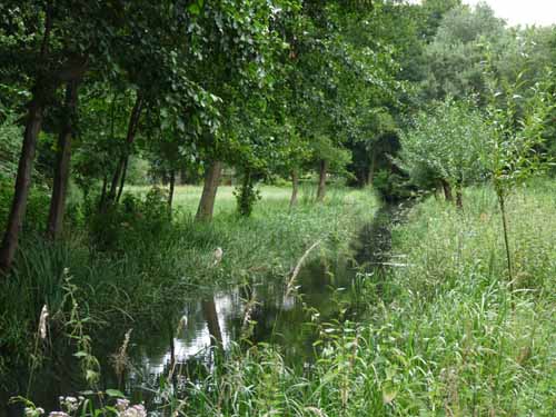 1208_Brandenburg_Berlin_397