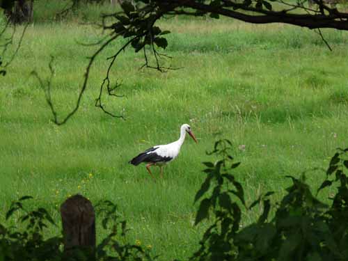 1208_Brandenburg_Berlin_401