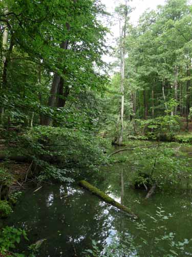 1208_Brandenburg_Berlin_404